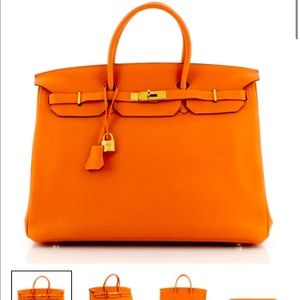 Birkin Handbag Orange Togo with Palladium Hardware